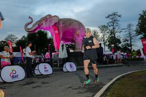 BIB: 
                            <button type="button" onclick="openModal(26529483)" class="btn btn-primary btn-sm float-right btn-popup" data-toggle="modal" data-target=".modal-high-quality">
                        <i class="fas fa-shopping-cart"></i> Add to Cart
                    </button>
                                            <button type="button" onclick="isThisMe(26529483, true)" class="btn btn-success btn-sm float-right btn-popup btn-isme hidden" data-toggle="tooltip" data-placement="bottom" title="นี่คือรูปของคุณใช่ไหม คลิกที่นี่เพื่อเอาเข้าอัลบั้ม">
                        <i class="fas fa-plus"></i> Add to album
                    </button>
                    <button type="button" onclick="isThisMe(26529483, false)" class="btn btn-warning btn-sm float-right btn-popup btn-isnotme hidden">
                        <i class="fas fa-ban"></i> Remove from album
                    </button>